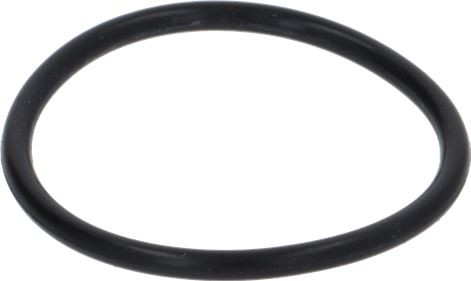 OR Dichtung Schwarz 02093 VITON