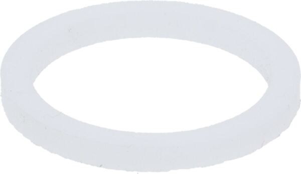 Flachdichtung PTFE D1 ø 21x16,8x1,7 mm | Reneka Ersatzteile