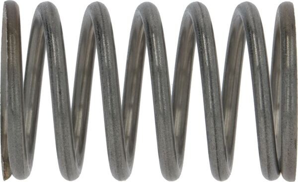 Feder für Dampfhahn-Hebel | Wega Ersatzteile