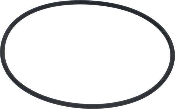 Oring-Dichtung 3,53x129,77 | Faema Ersatzteile