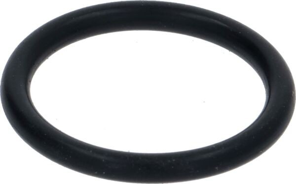 O-Ring Dichtung | Astoria Ersatzteile