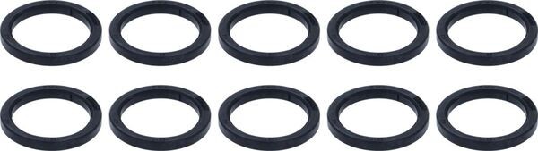 Siebträger-Dichtung Ø 72X56x8mm 10Pcs | Wega Ersatzteile