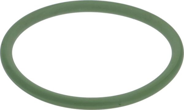 O-Ring Dichtung | Astoria Ersatzteile