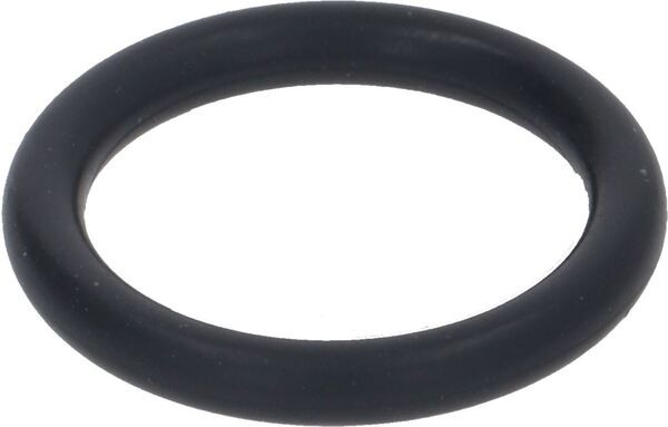 O-Ring Dichtung 110 9.25x1.78 | Astoria Ersatzteile