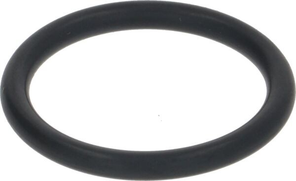 Oring-Dichtung ø20,62X2,62 EPDM | Sanremo Ersatzteile