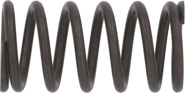 Kaffeekolbenfeder | Faema Ersatzteile