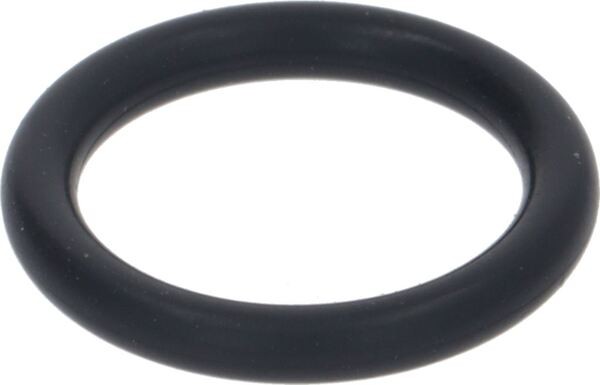 O-Ring Dichtung | Wega Ersatzteile