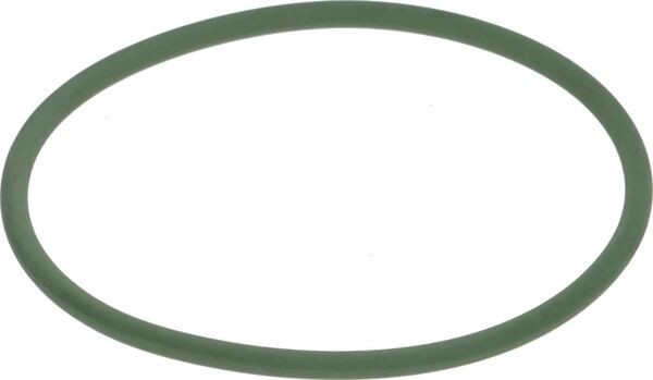 Oring-Dichtung FKM NSF 55,25x2,62 | Faema Ersatzteile