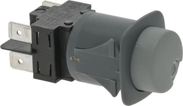 Schalter 2-Polig Schwarz 16A 250V 25X25 mm | Royal Ersatzteile