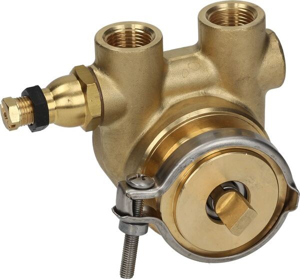 Rotationspumpe Pumpenkopf ROTOFLOW 50 L/h 3/8" GAS | Spaziale Ersatzteile