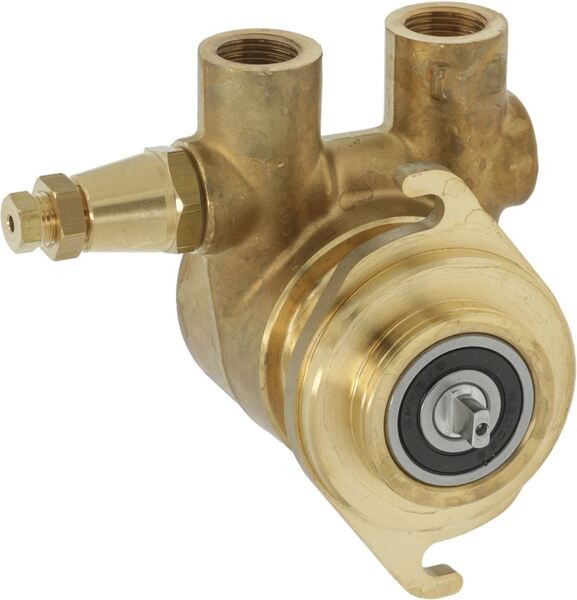  Rotations-Pumpe NUERT 3/8" 200 L/H GAS/BSP | Casadio Ersatzteile