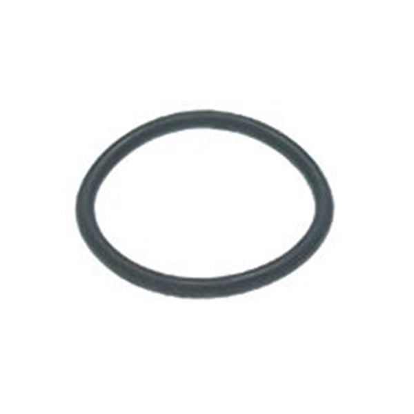 OR - Dichtung R6 EPDM