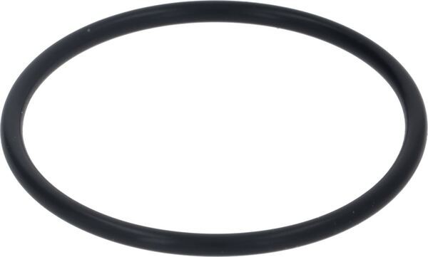 O-Ring Dichtung 162 | Astoria Ersatzteile