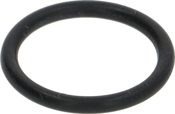 OR Dichtung EPDM 02056