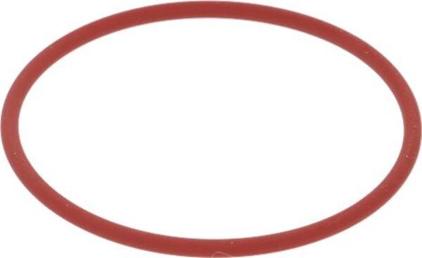 O-Ring Silikondichtung 177 | Rancilio Ersatzteile