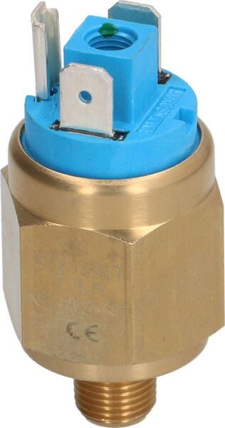 Kesseldruckschalter ES31 1,5 bar – 1/8" M | Astoria Ersatzteile