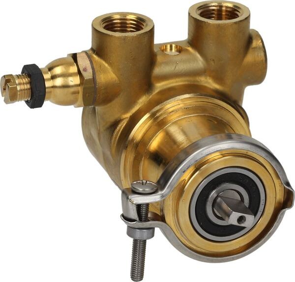 Rotationspumpe Pumpenkopf ROTOFLOW 100 L/h 3/8" NPT | Spaziale Ersatzteile