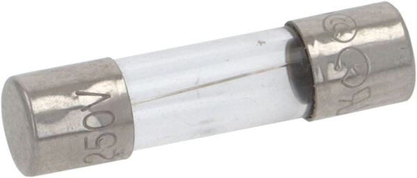 Sicherung 5x20 10 AT IMQ | Faema Ersatzteile