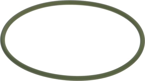 Oring-Dichtung ø71,12X2,62 VITON NSF | Sanremo Ersatzteile