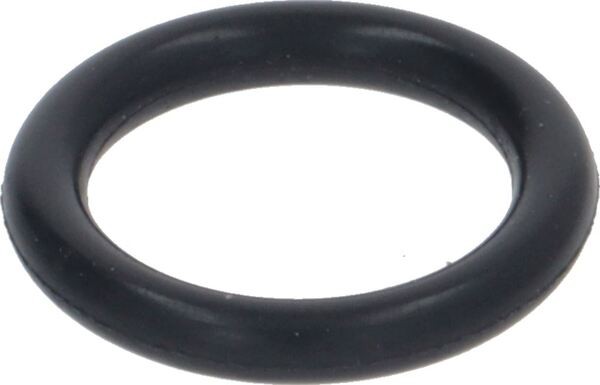 Oring Dichtung | Wega Ersatzteile