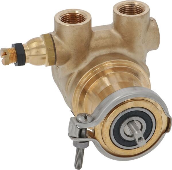 Rotationspumpe Rotoflow 3/8" GAS 100 L/h 