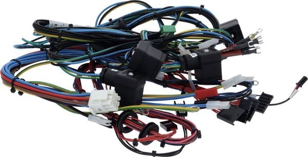 Basis-Verkabelung 2Gr | Faema Ersatzteile