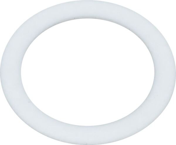 FlachdichtungPTFE ø 18x24x1 mm | Reneka Ersatzteile