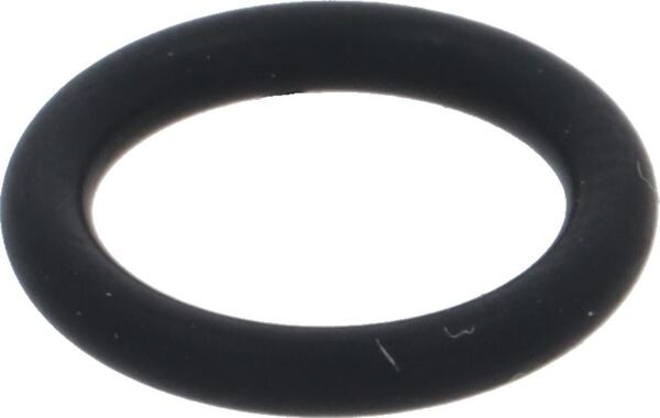 OR- Dichtung 6230 FFKM KALREZ