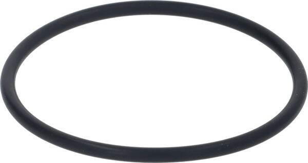 Oring-Dichtung für Duschenhalterung 3187 47,29 X 2,62 | Sanremo Ersatzteile
