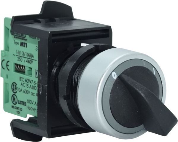 Hauptschalter 0-1 16(10)A 250V | Reneka Ersatzteile