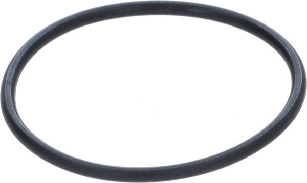 OR Dichtung Bar - Gruppe - Pavillon