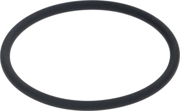Dichtring 161 O-Ring für Hebelbrühgruppe | Wega Ersatzteile