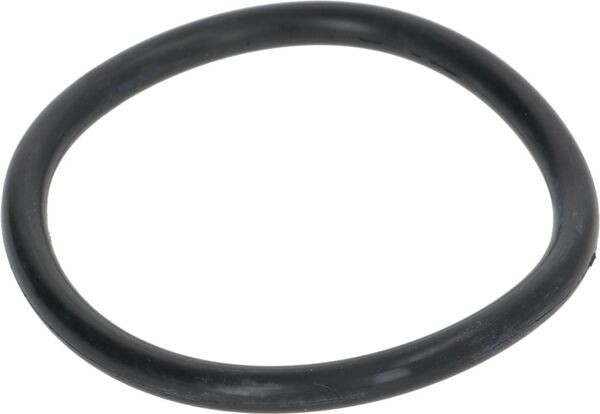 Stopfdichtung für Enthärter Ø 74X6,5 mm | La San Marco Ersatzteile