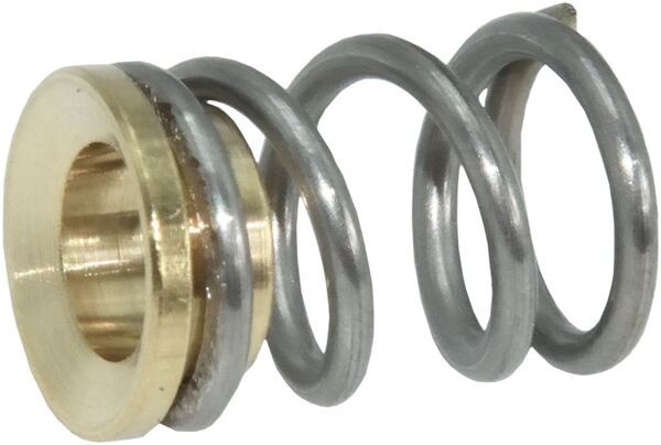 Feder mit Lagerbuchse | Reneka Ersatzteile