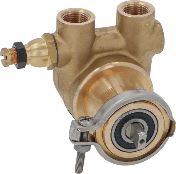 Rotationspumpe Rotoflow 3/8" GAS 50L/h