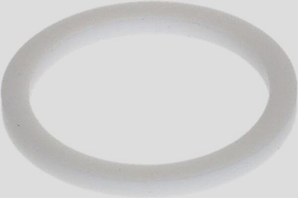 Dichtung ø25,8X21X2 PTFE | Sanremo Ersatzteile