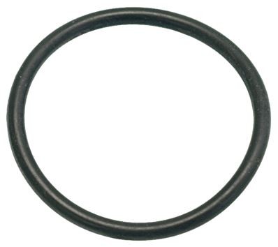 Oring-Dichtung 03125 EPDM 2,62 * 31,42 mm | Spaziale Ersatzteile